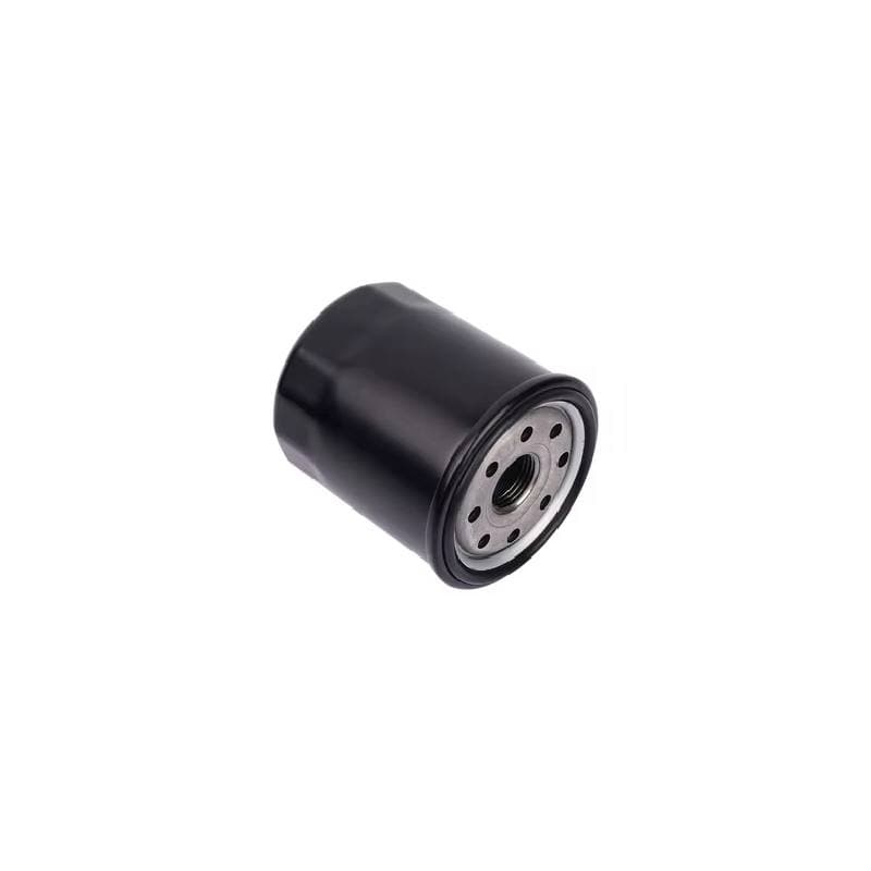 لوازم یدکی لوکانو فیلتر روغن لوکانو L8